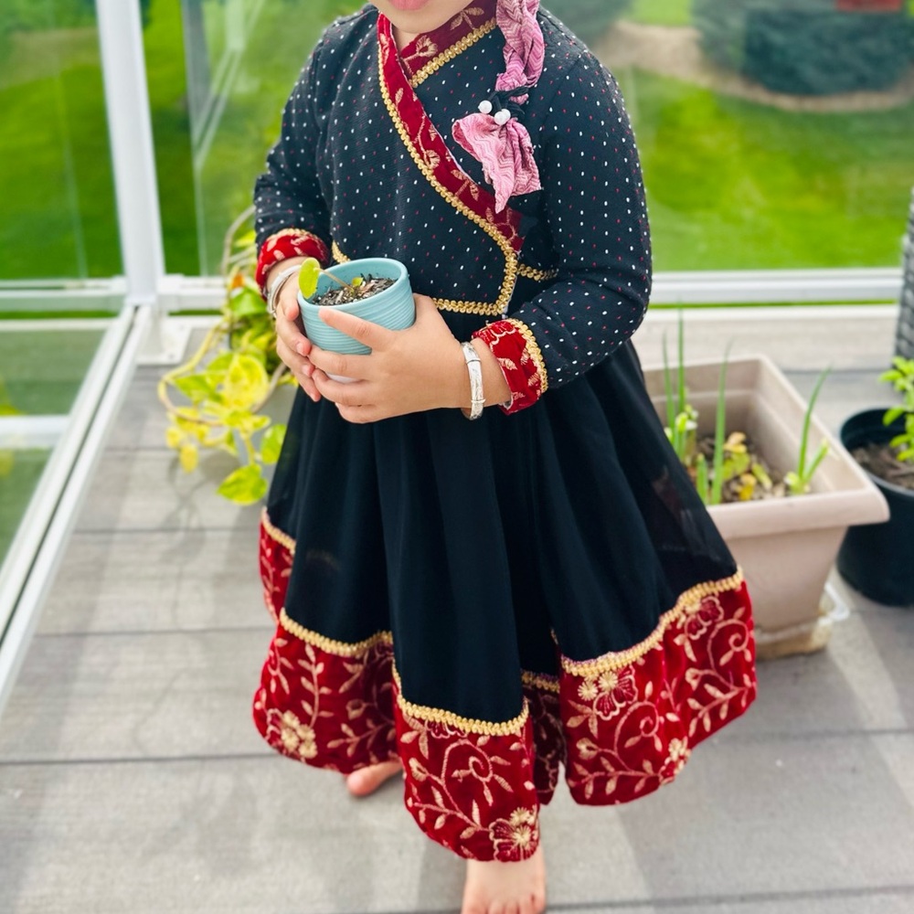Black and Red Embroidered Dress. Size 3-4 years